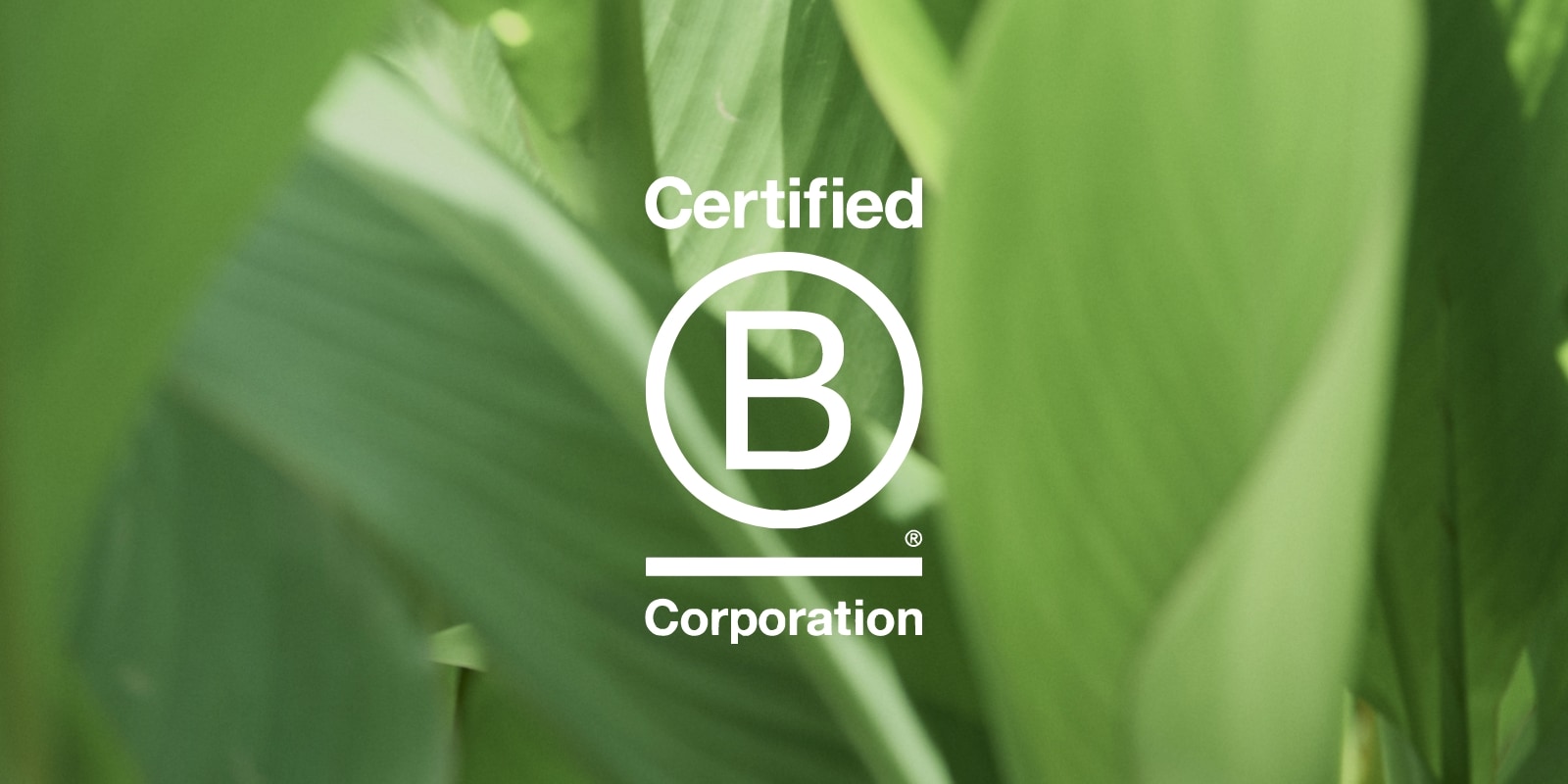 B Corp認証