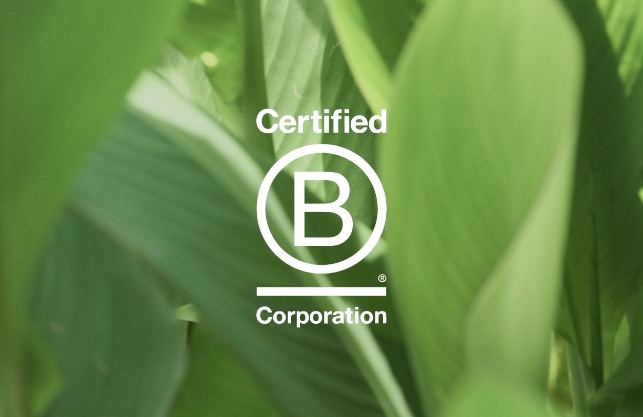 B Corp認証