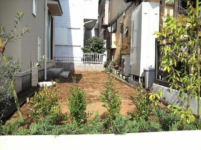 横須賀市 荒崎の庭