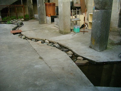 横浜市立白幡小学校にビオトープ池ができました！