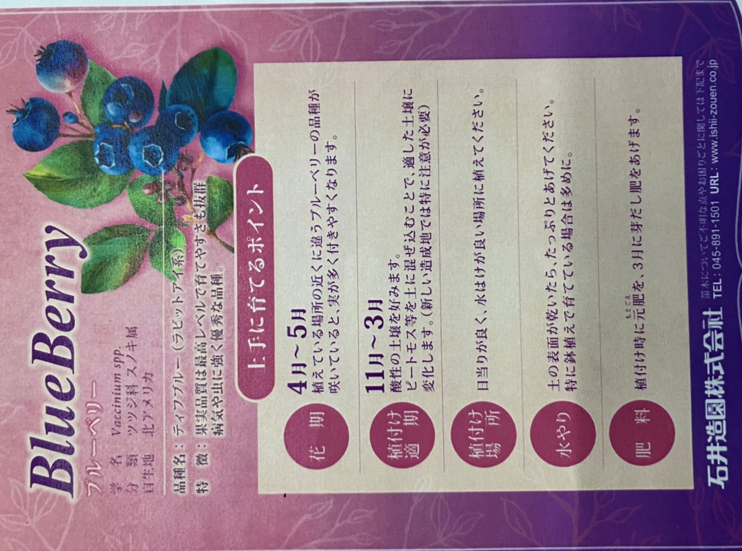 ティフブルー説明書