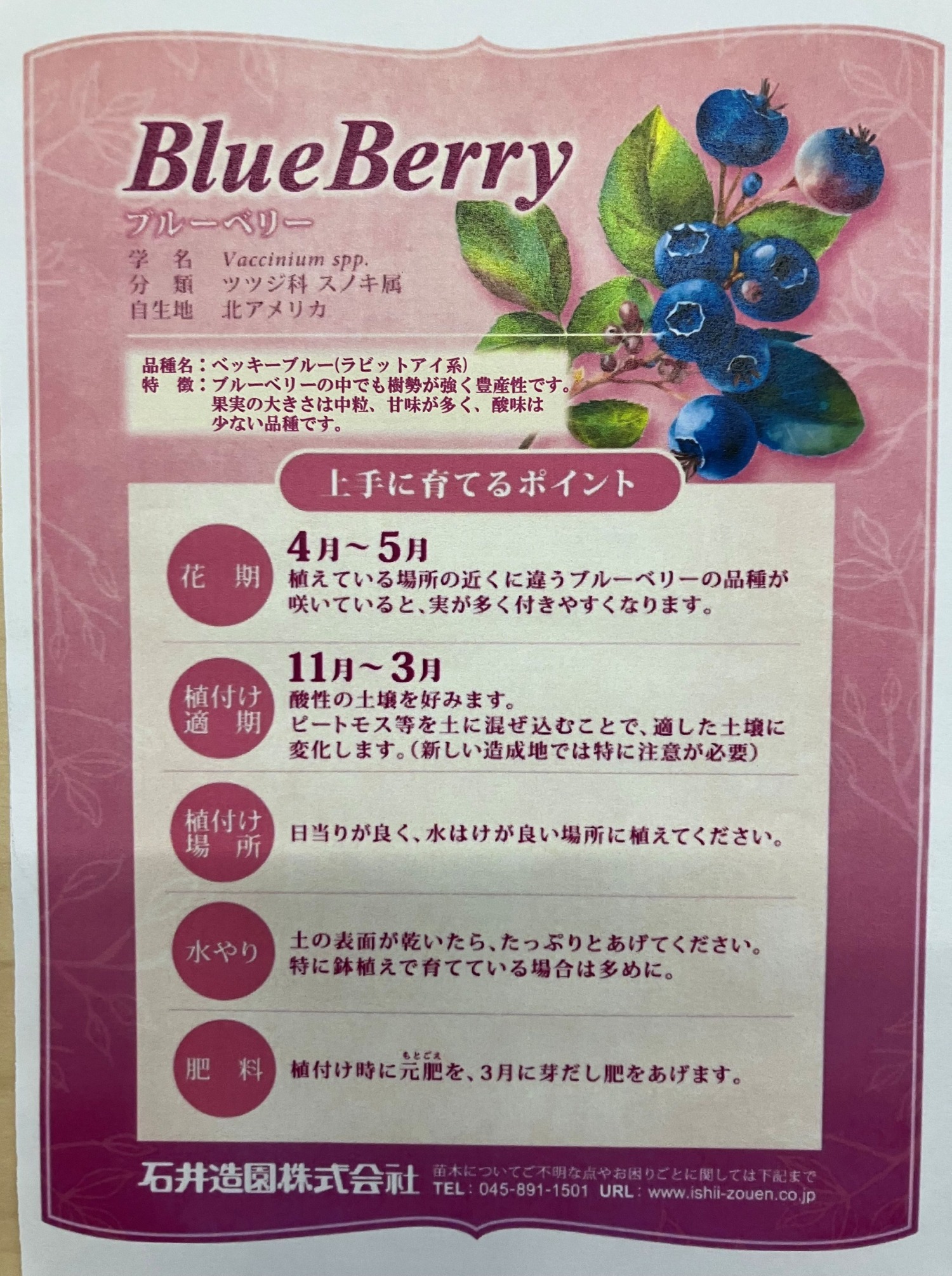 ベッキーブルー説明書