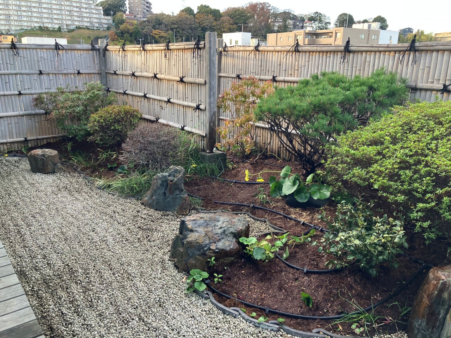 屋上庭園の再整備