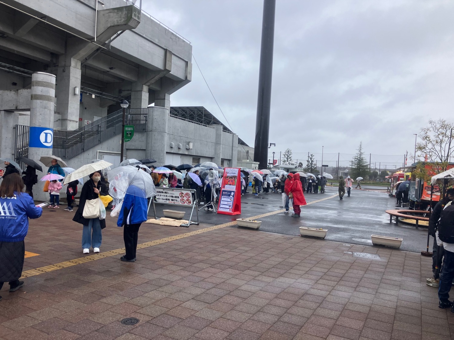 ＃ミモザ＃苗木配布＃国際女性デー＃感謝＃ノジマステラ＃石井造園