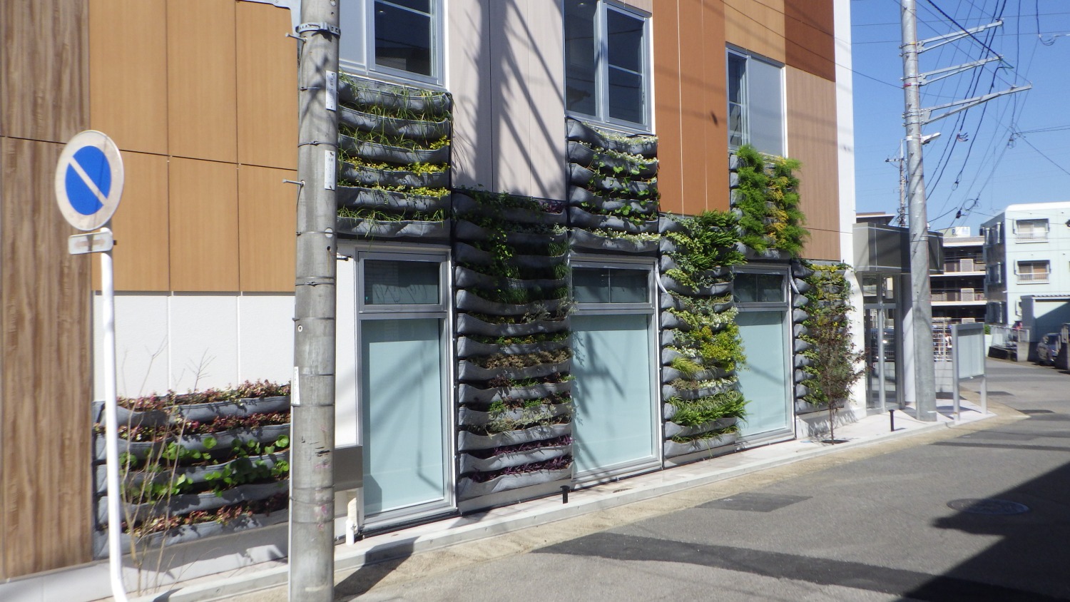 新築建物壁面緑化工事