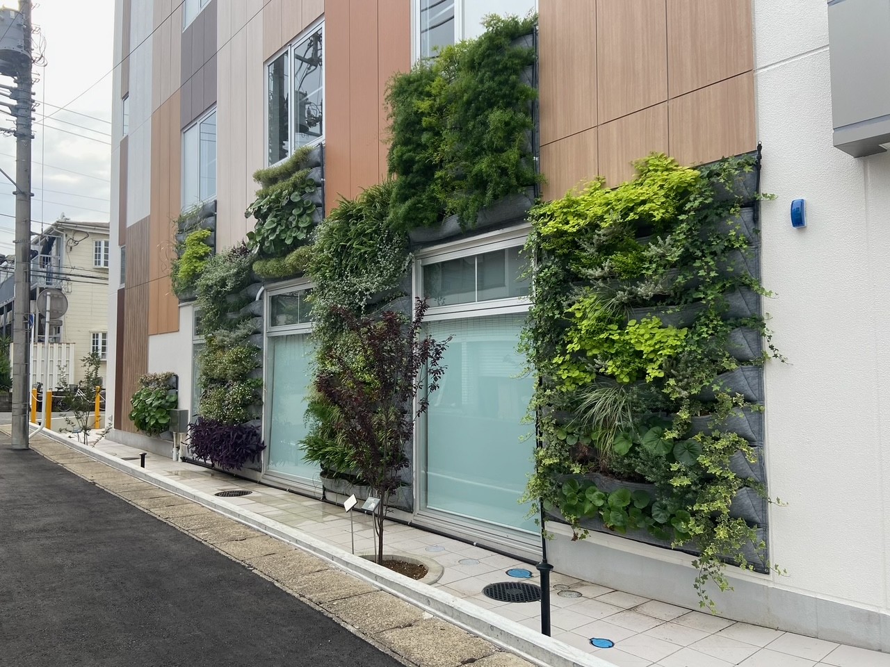 新築建物壁面緑化工事