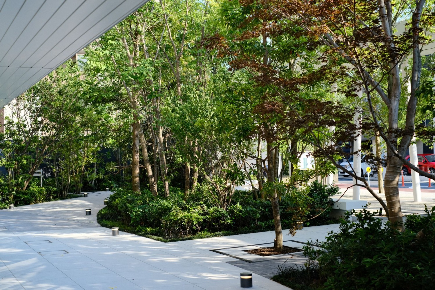 栄区マンション植栽工事