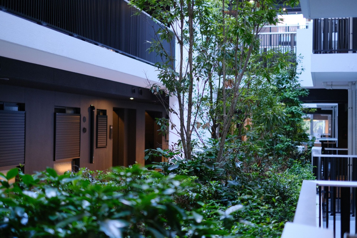 栄区マンション植栽工事