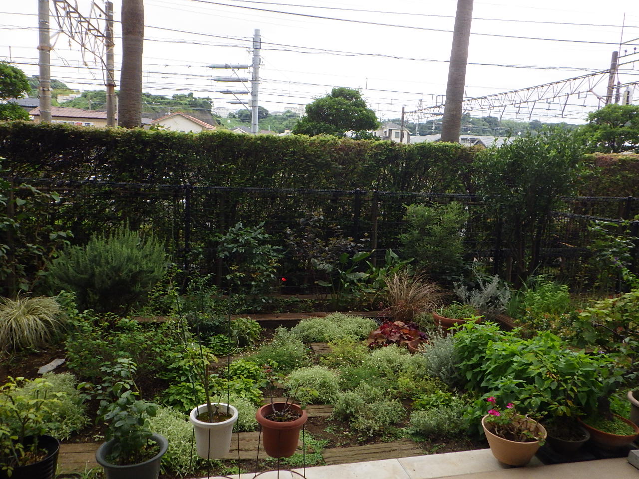 加嶋様庭園改修工事　「専用庭を綺麗にしたい。雑草が生えると気になって。」