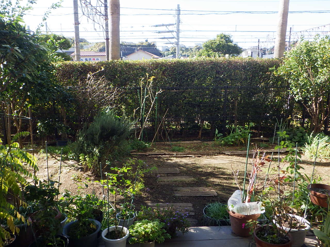 加嶋様庭園改修工事　「専用庭を綺麗にしたい。雑草が生えると気になって。」