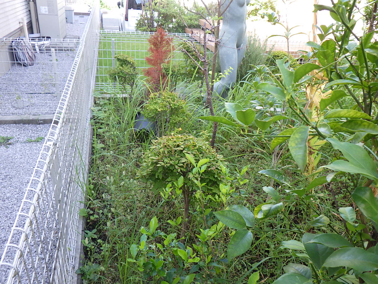 秋山邸　庭園改修工事　施工担当：佐山、内川