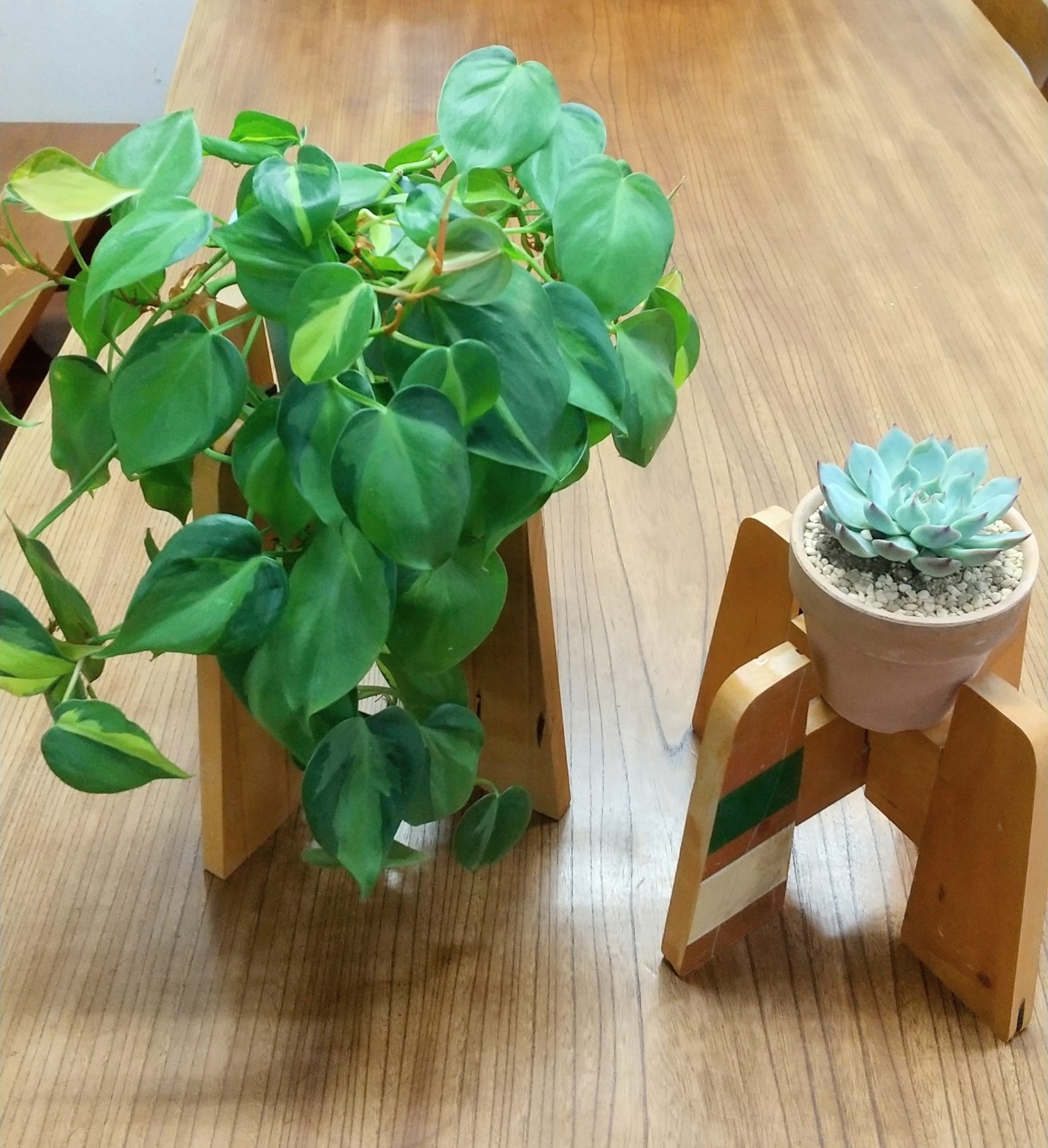 REYO:学校体育館の床材がつなぐ循環のデザイン展