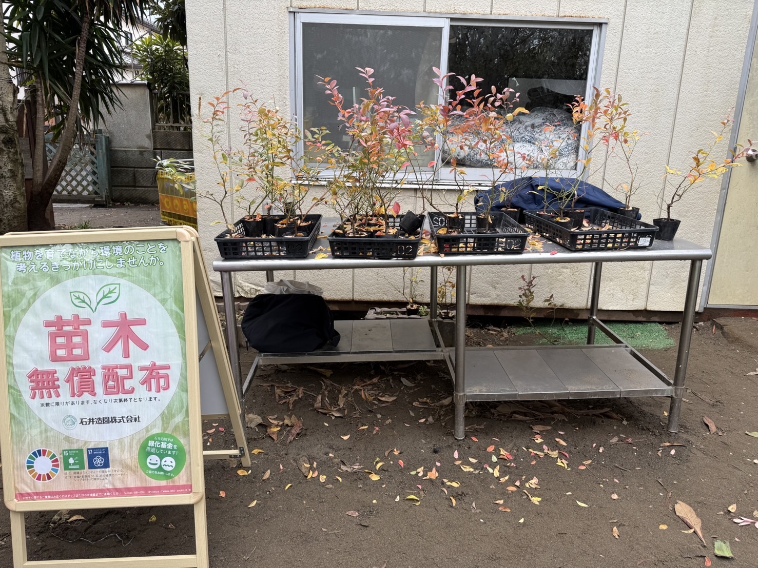 苗場保育園プレゼンツ　ふるさと産直市＆苗バザー　苗木配布