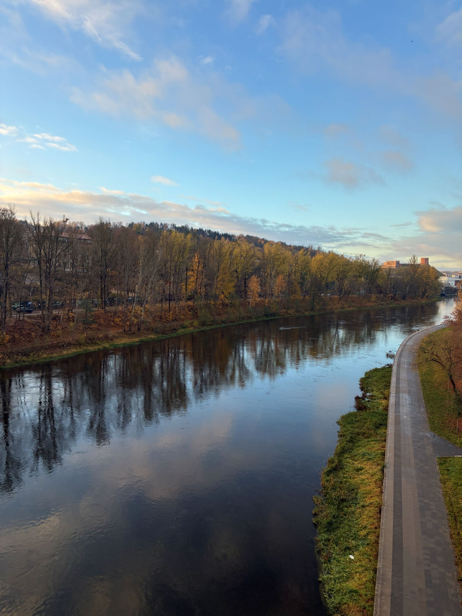 リトアニア継続事業